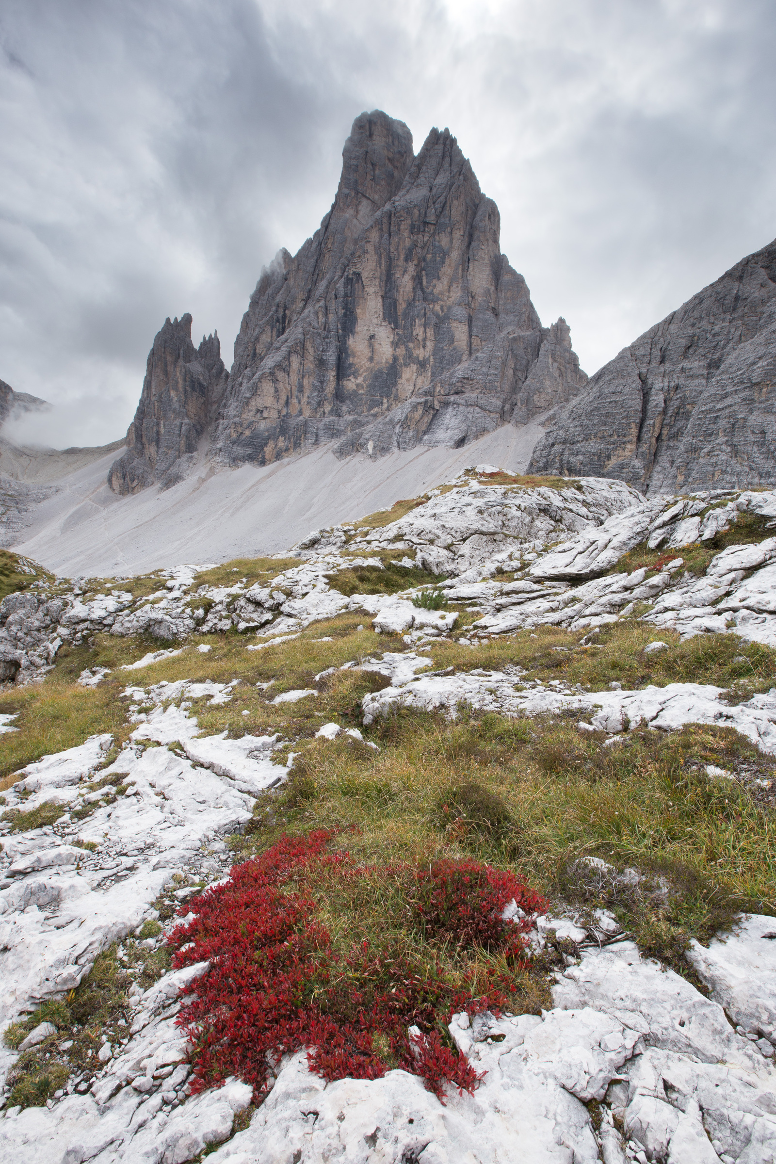 rote Sträucher vor dem Zwölferkofel im Herbst