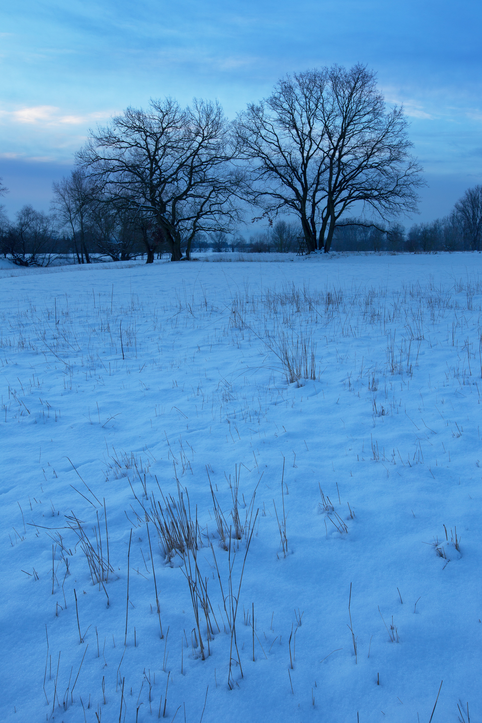 Schnee in einer Flussauenlandschaft