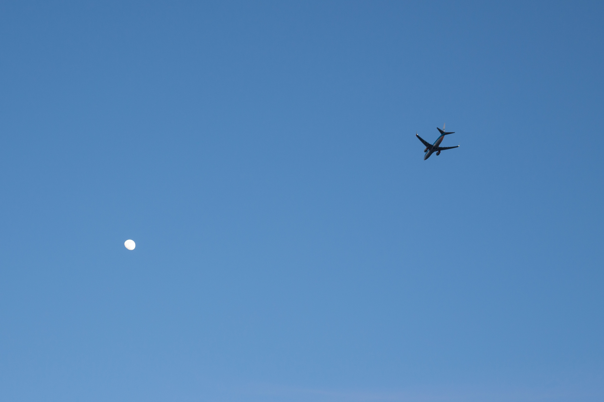 Flugzeug vor blauem Himmel und Mond