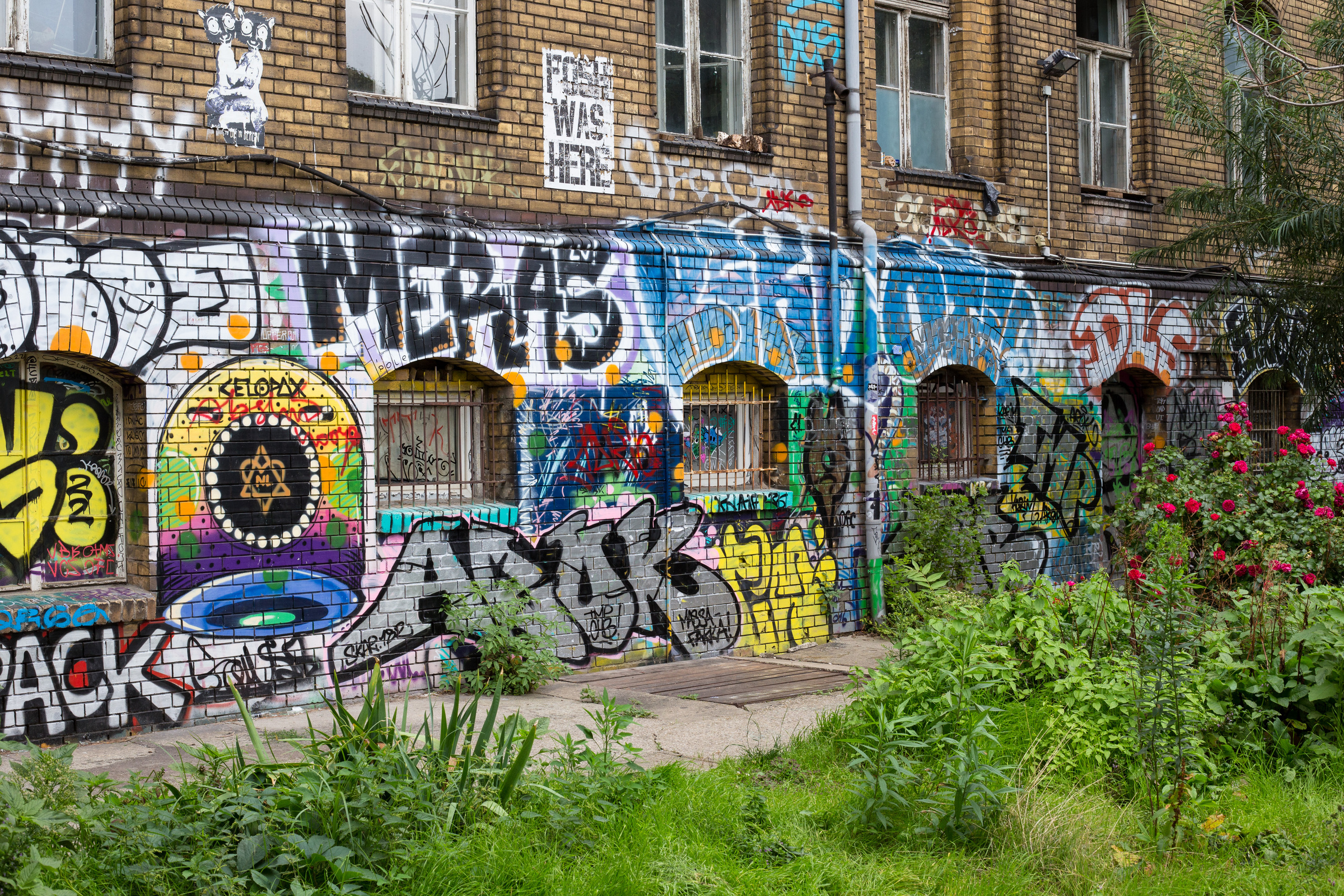 Graffiti auf einer Hauswand und rote Rosen