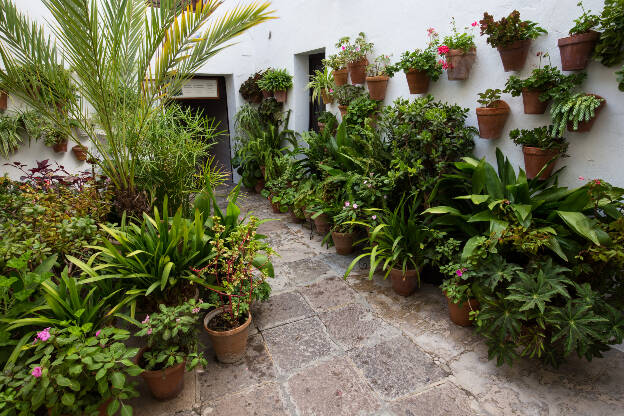 versteckter kleiner Hinterhof in Vejer de la Frontera