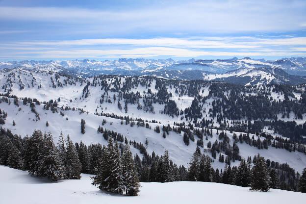 Blick auf die Nagelfluhkette vom Hochgrat