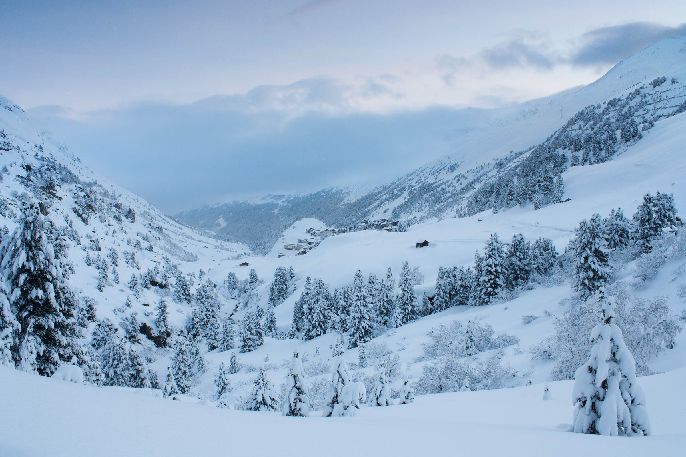 Zirbelwald im Ötztal