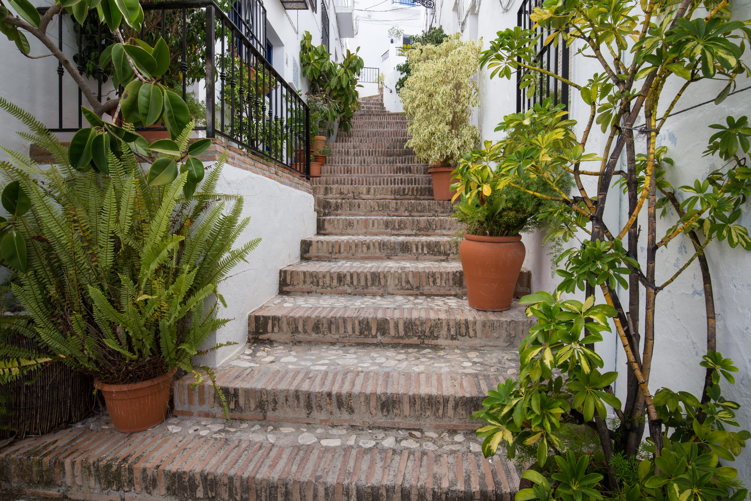 Treppe mit Pflanzen in Frigiliana