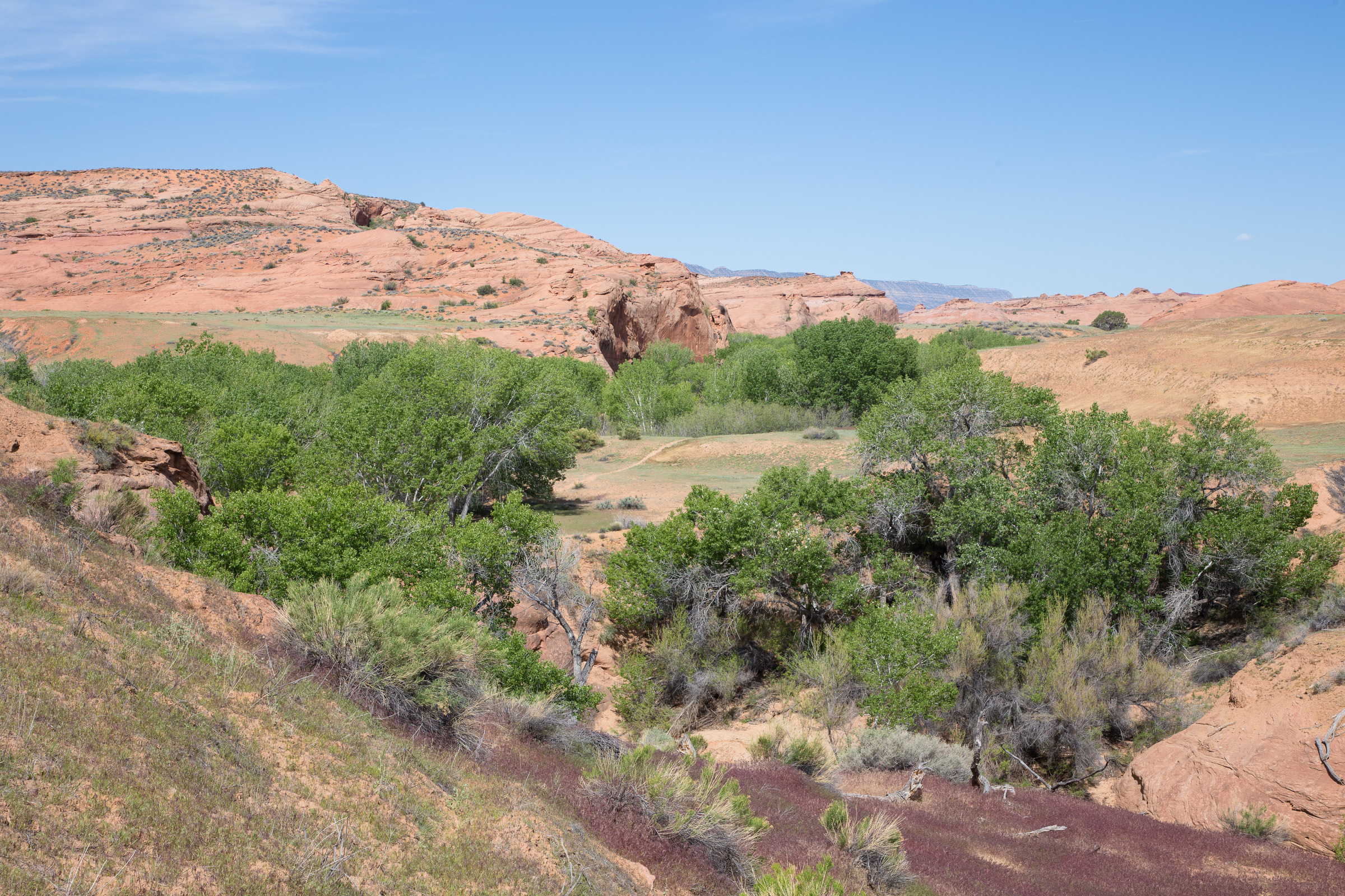 Blick in den Dry Fork Wash