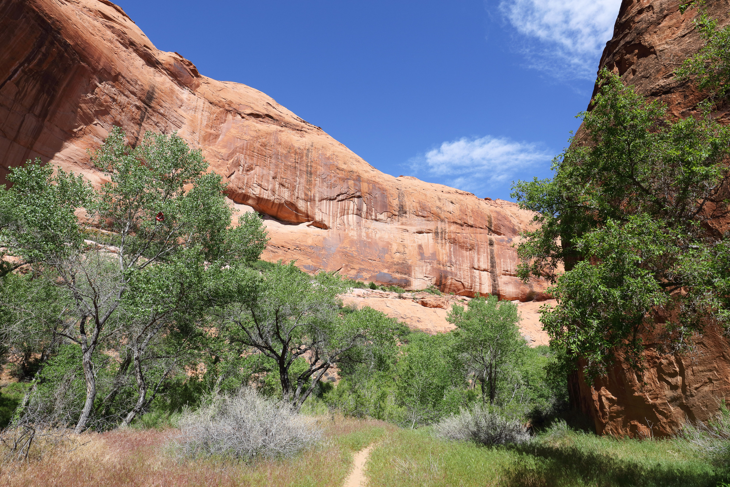 Wandern zwischen Felswänden im Coyote Gulch