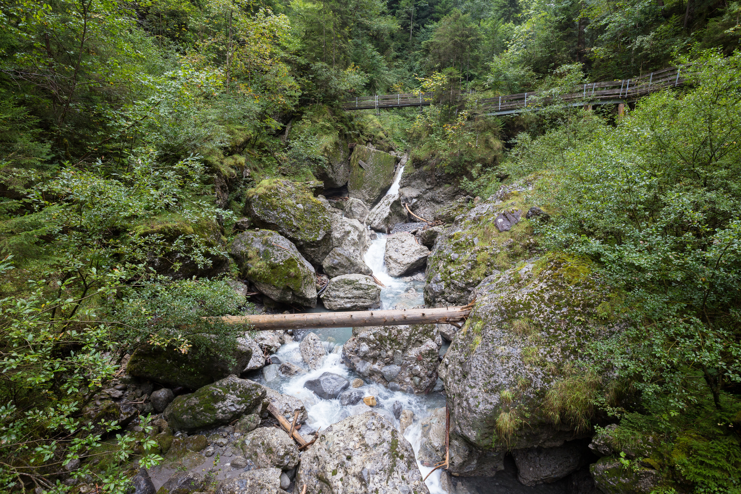 Brücken in der Bürserschlucht