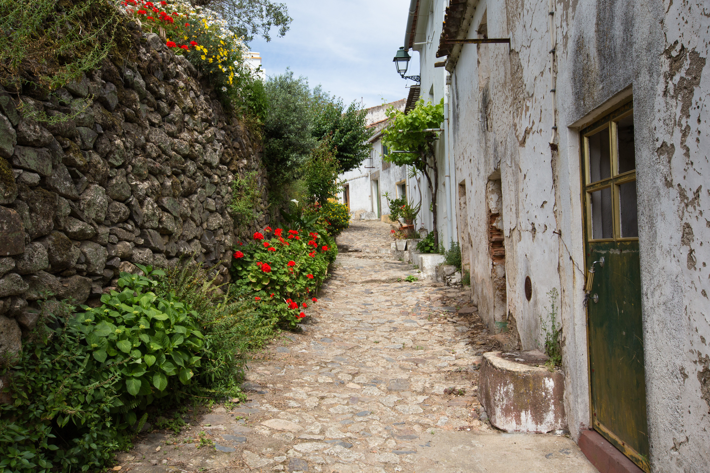 Gasse mit Blumen in Monsanto