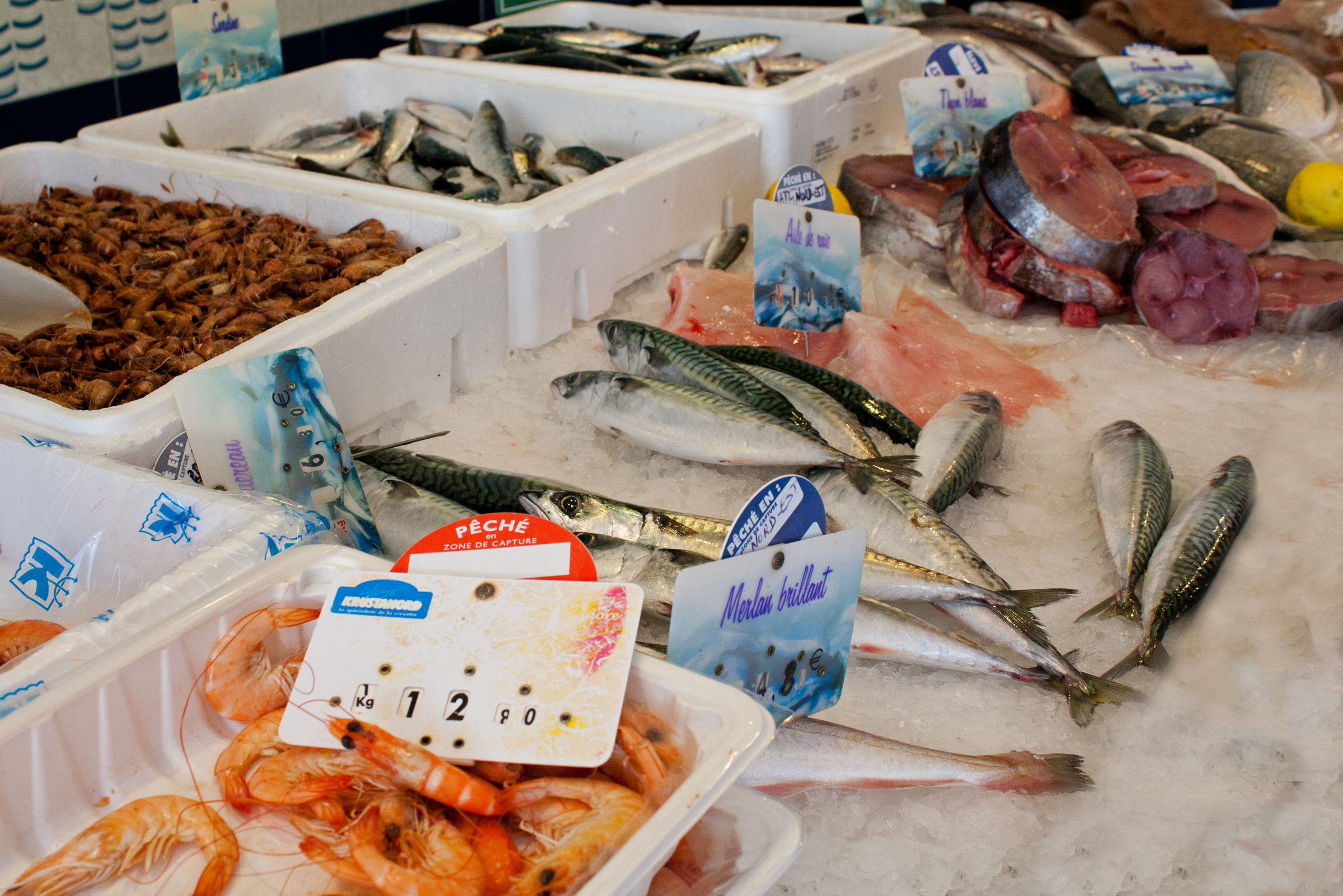 Verkaufsstand mit Fischen und Garnelen