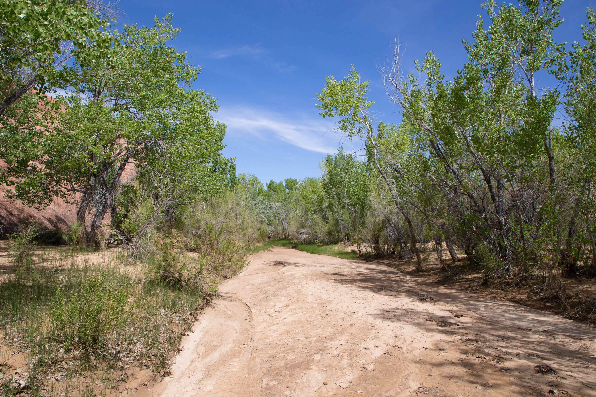 Dry Fork Wash bei Escalante