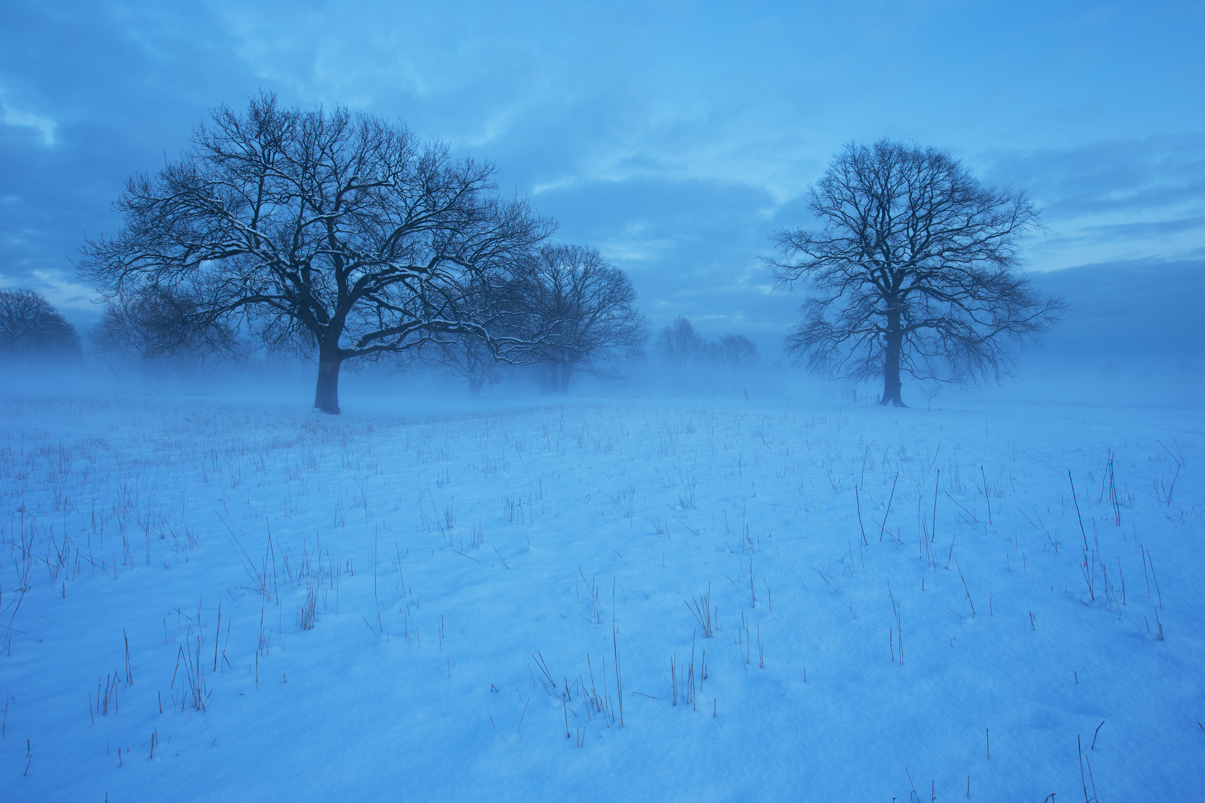 Die Siegauen bei Müllekoven im Winter