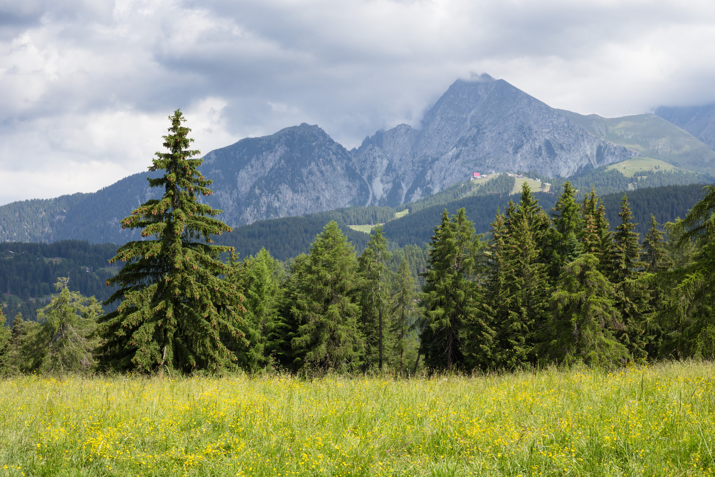 Ifinger bei Meran 2000