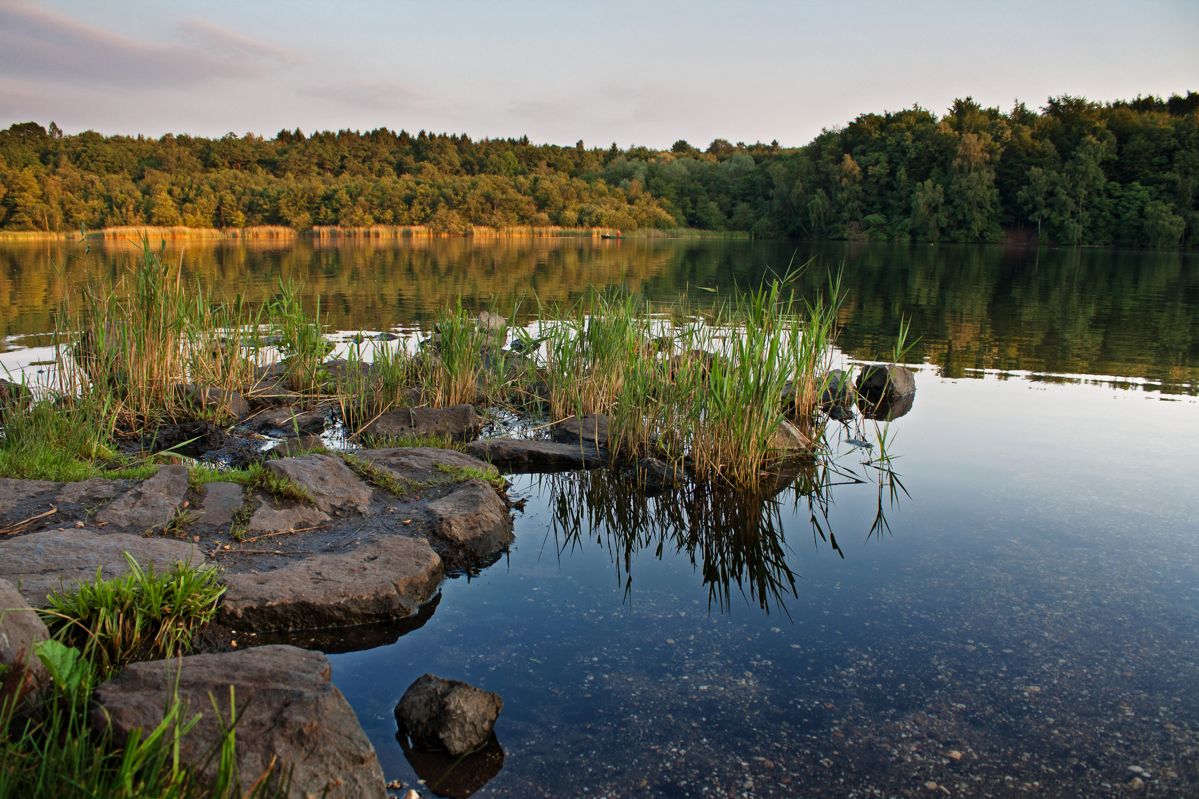 Wanderung am Berggeistweiher