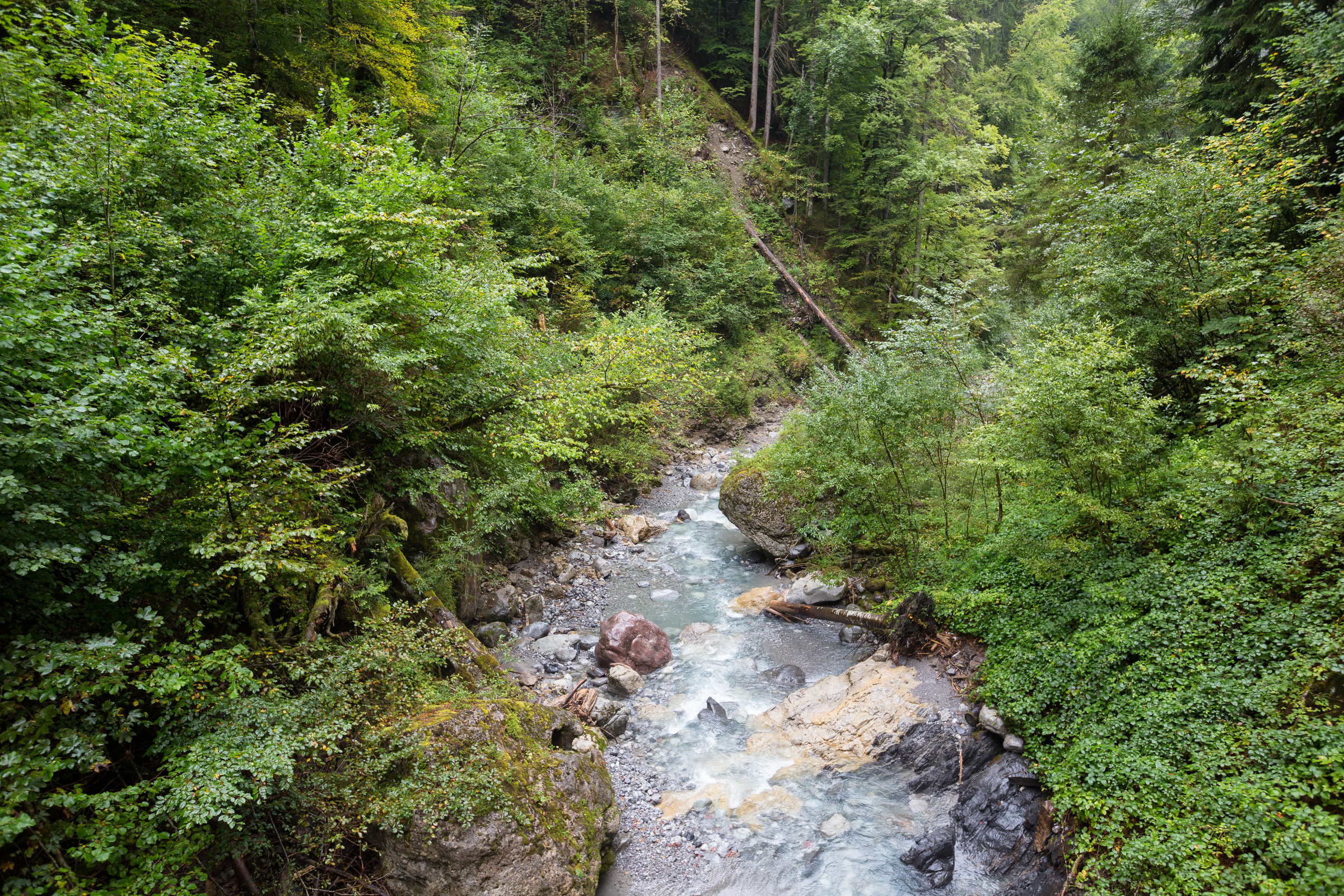 Bach in der Bürserschlucht