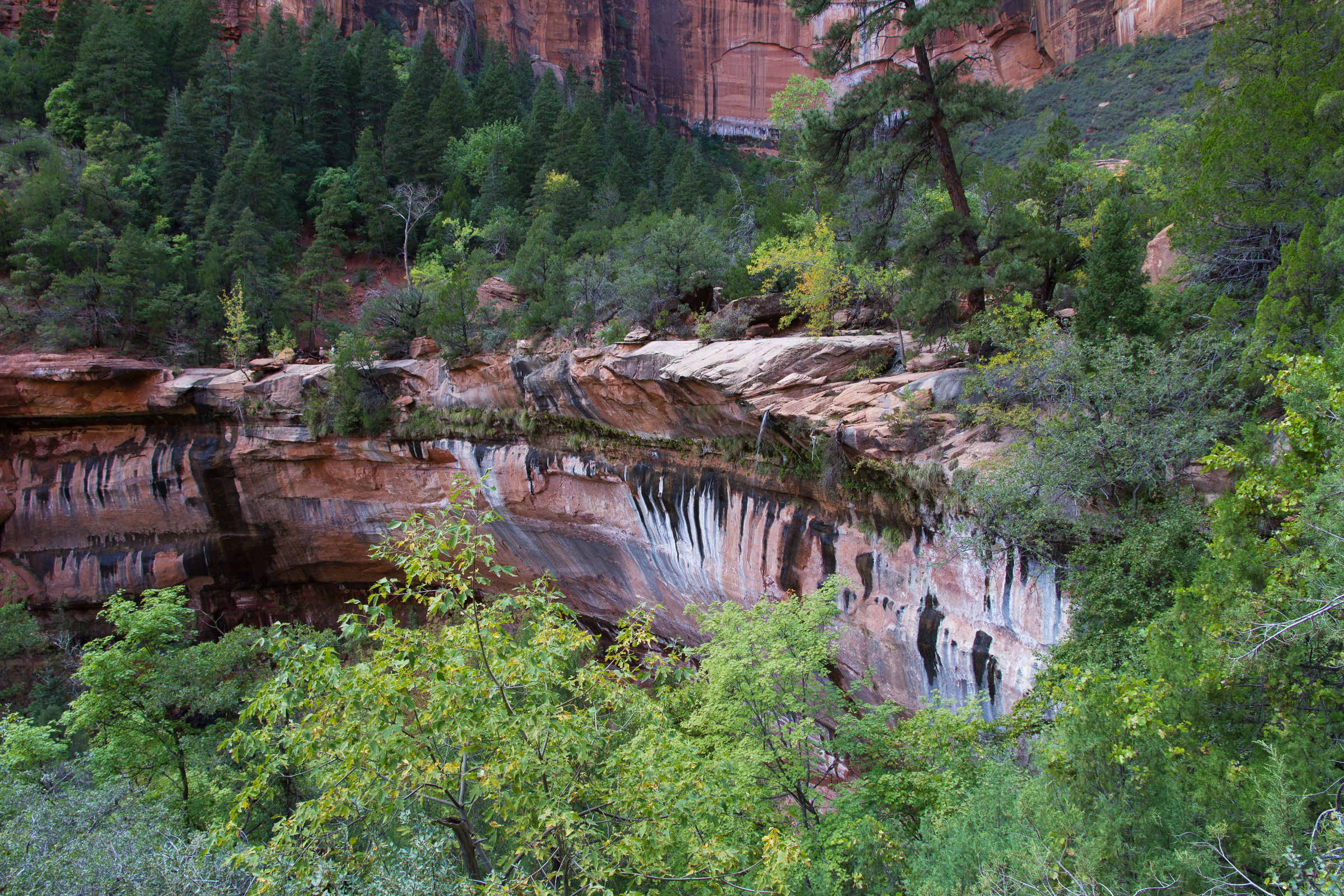 Emerald Pools Wanderung