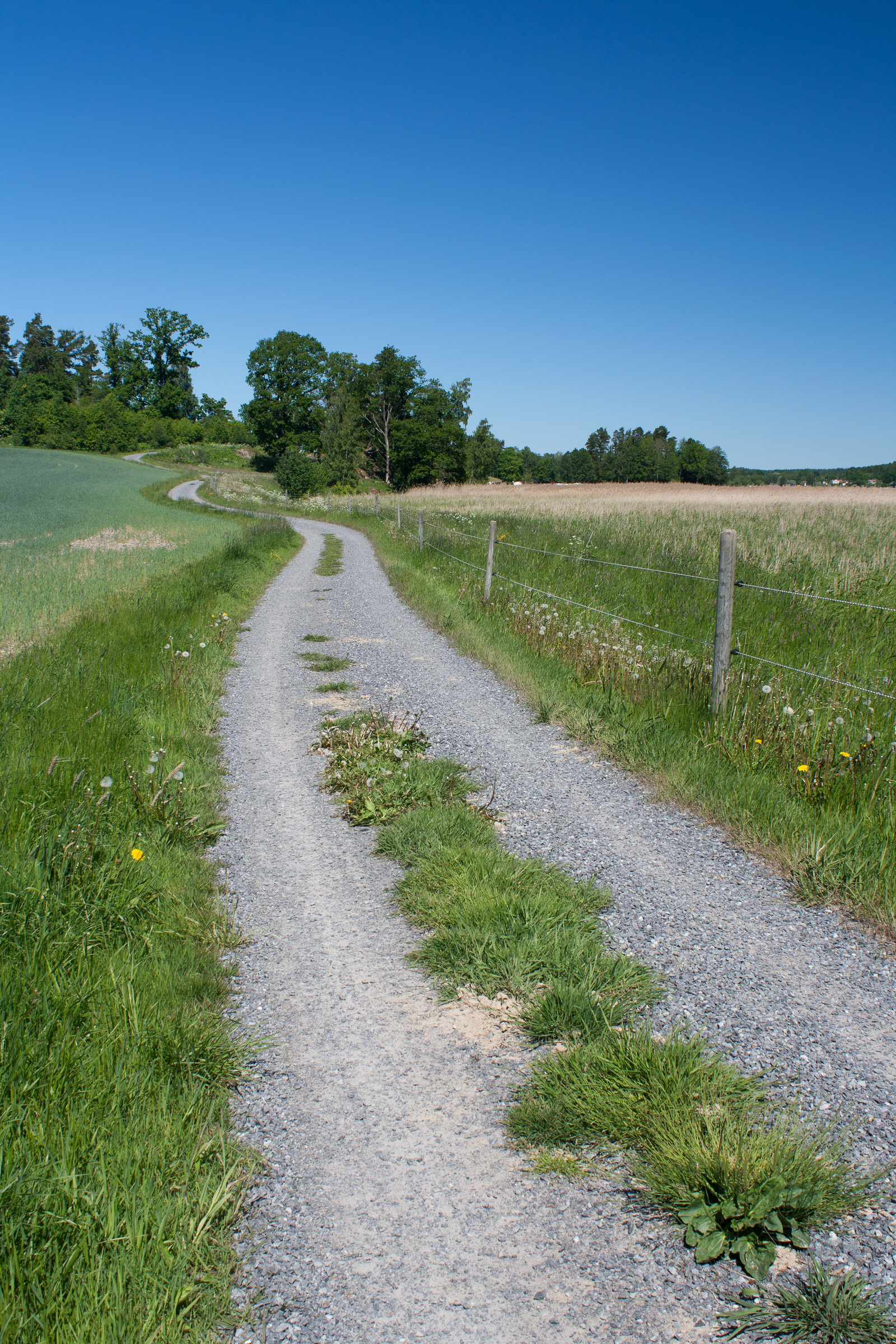 Feldweg in Schweden