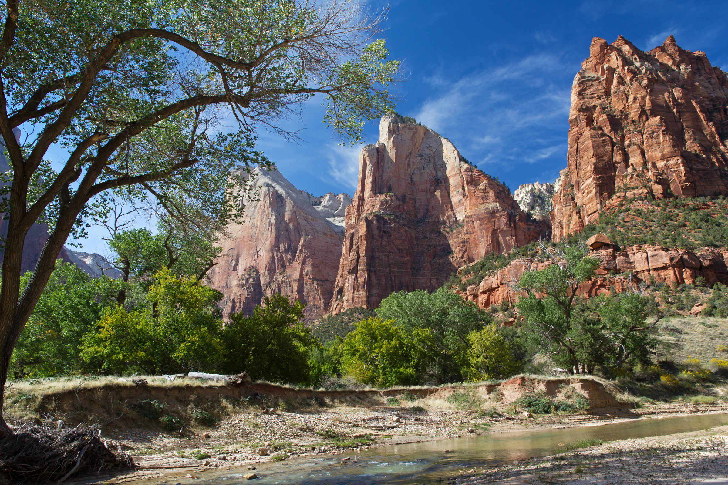 Court of the Patriarchs