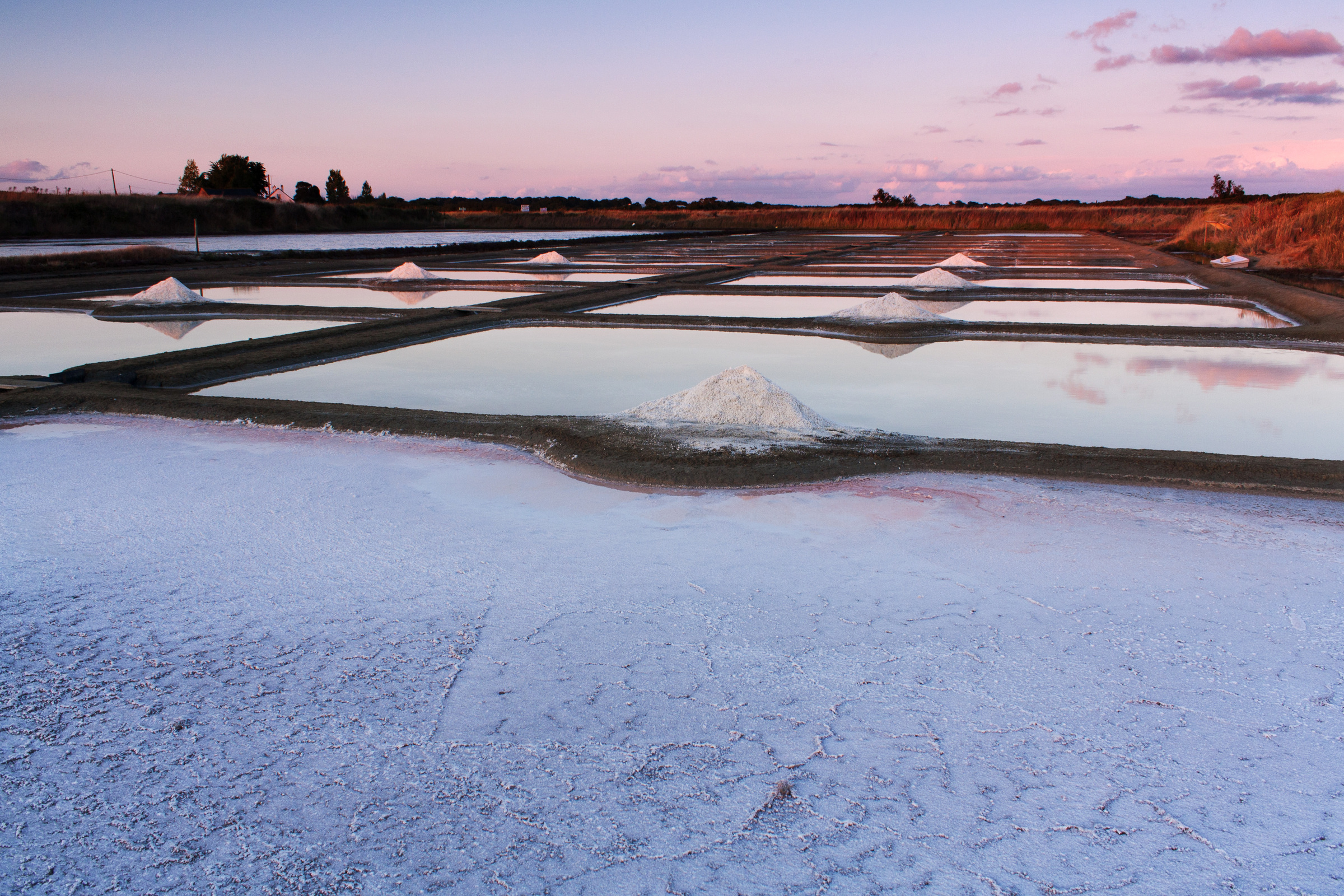 Salzfelder in der Bretagne