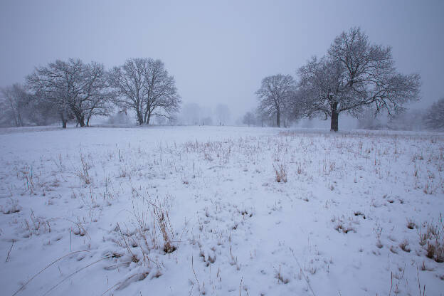 verschneite Siegauen