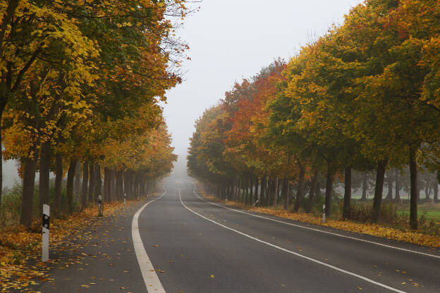 Landstraße im Herbst