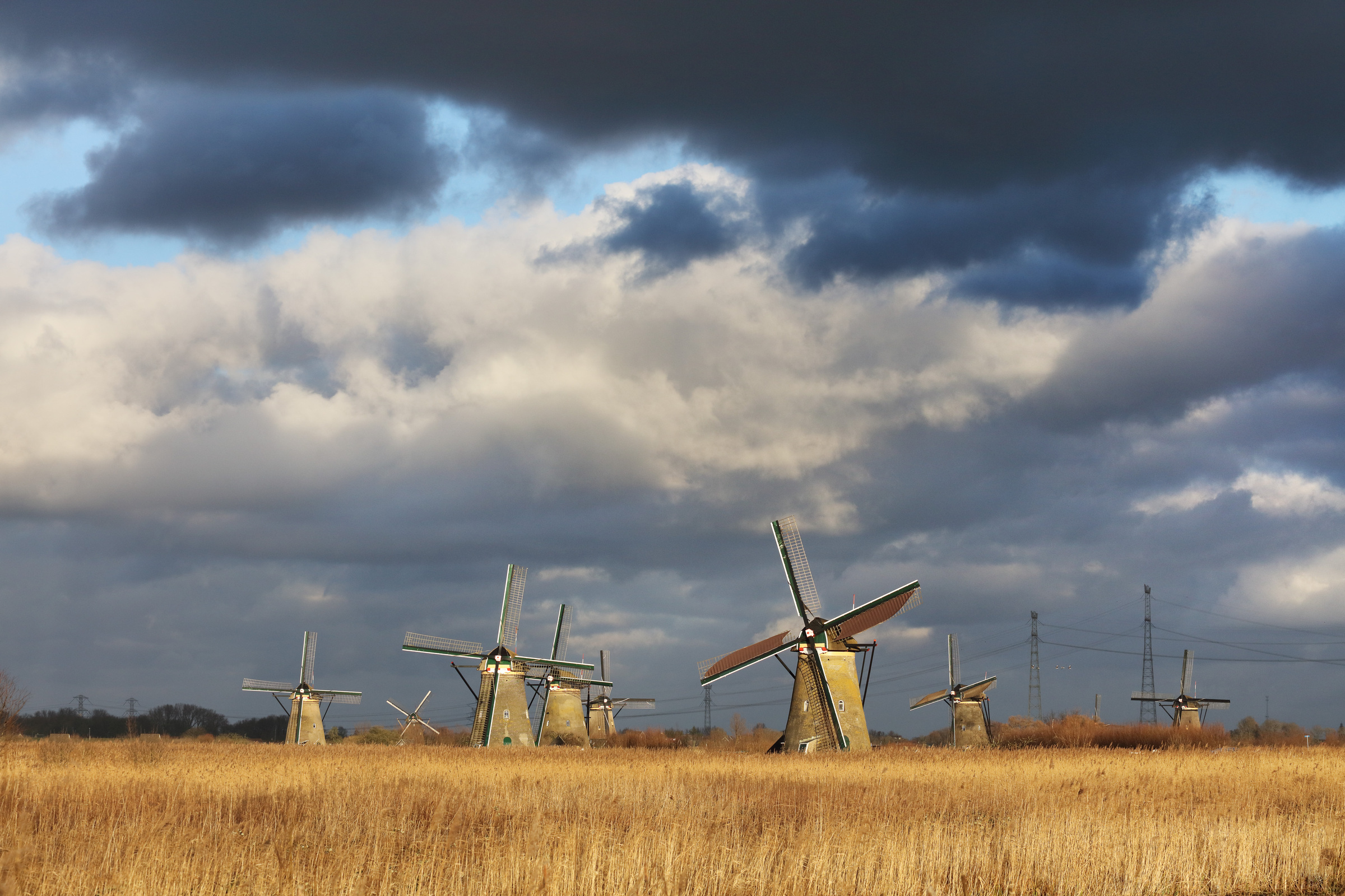 Windmühlen in Kinderdijk an einem stürmischen Tag