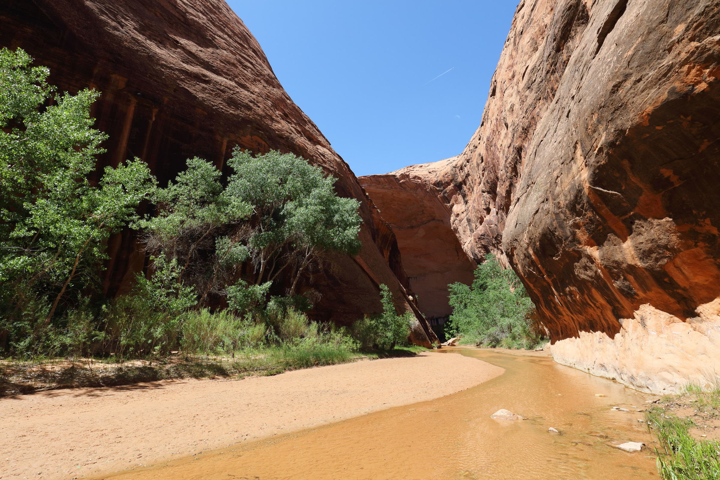 Coyote Creek im Coyote Gulch