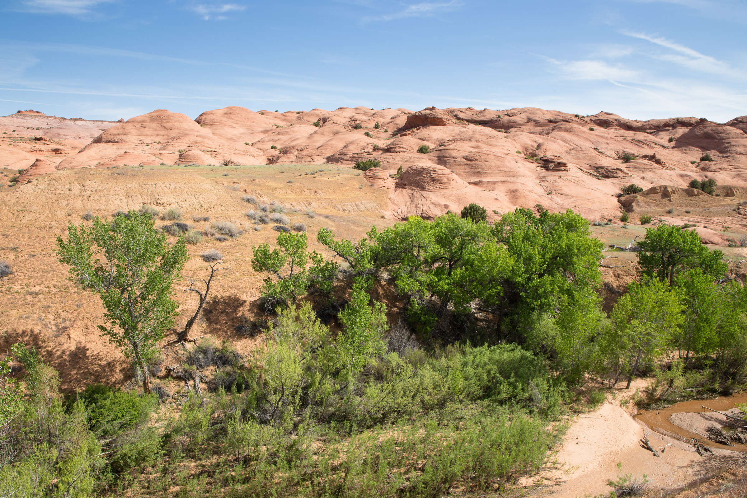 Sanddüne am Dry Fork Wash