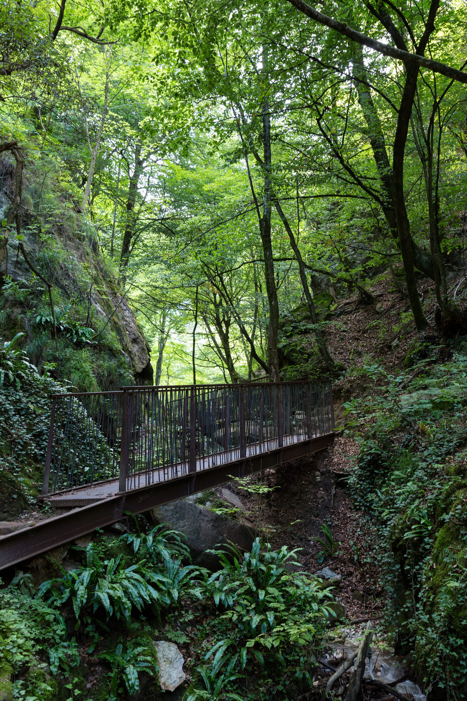 Wanderweg auf Stegen durch die Rastenbachklamm