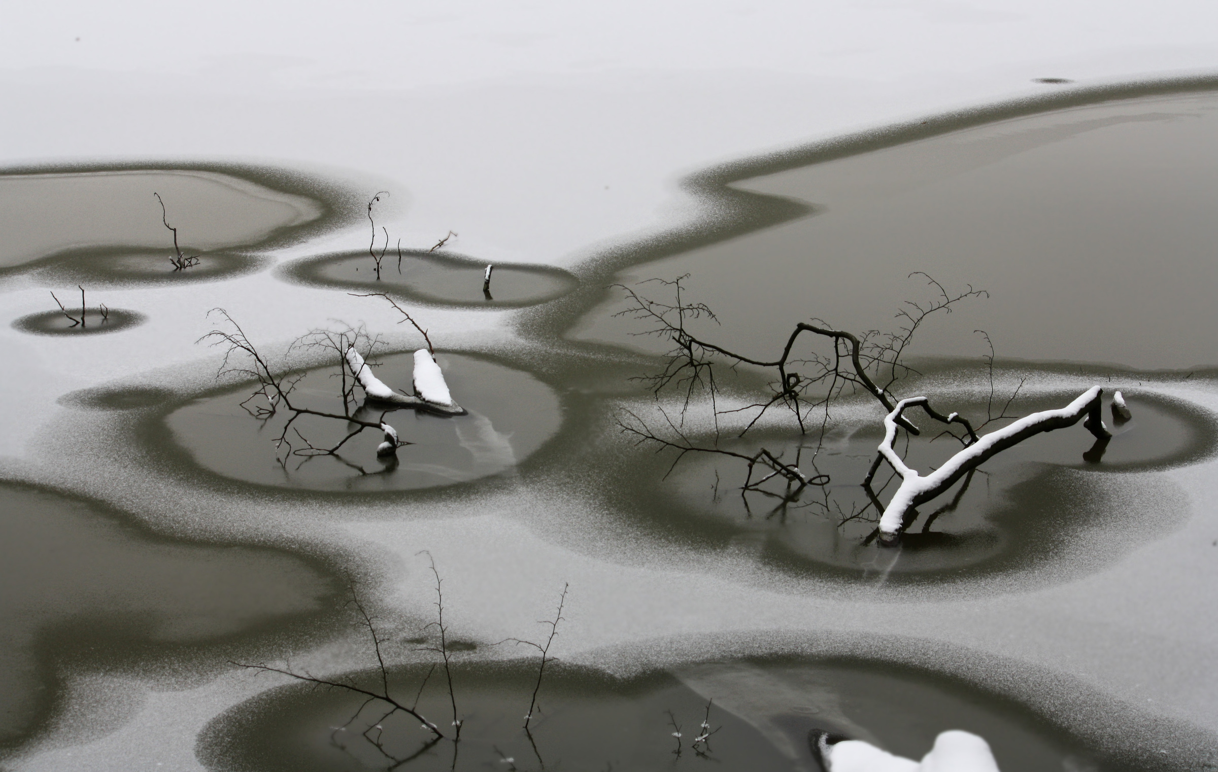 schneebedeckte Äste im zugefrorenen See