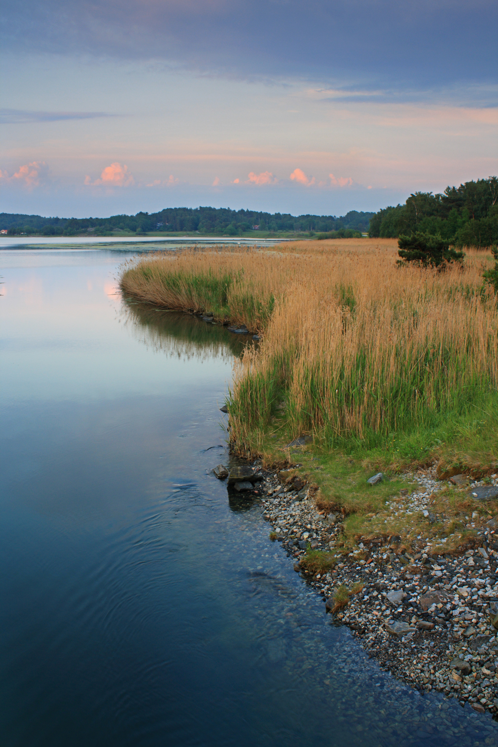 Stigfjordens Naturreservat