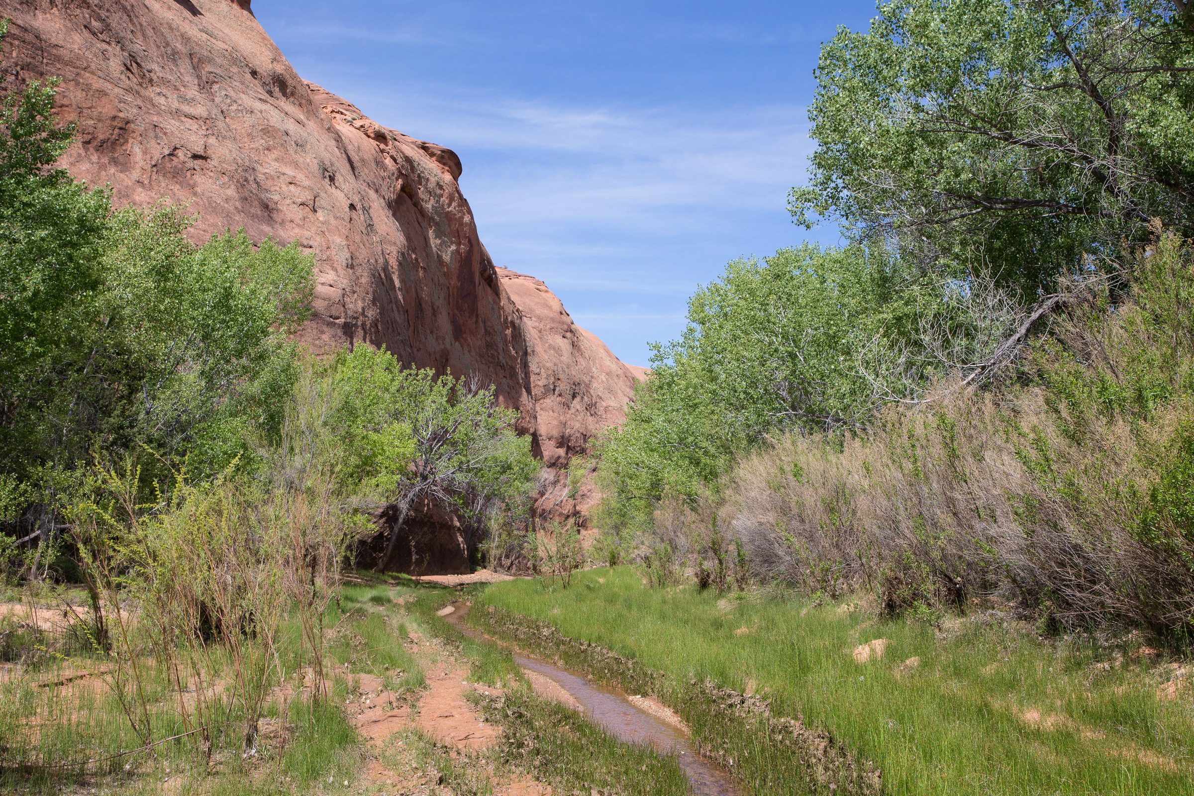 Coyote Creek im Dry Fork Wash