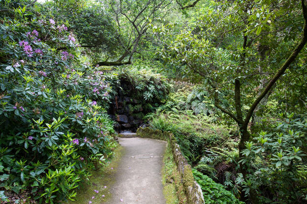 Rhododendron in einem Garten bei Sintra