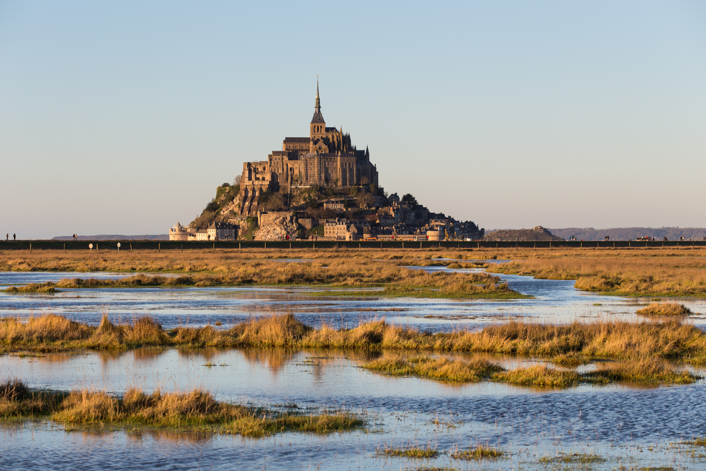 Salzfelder am Mont-Saint-Michel
