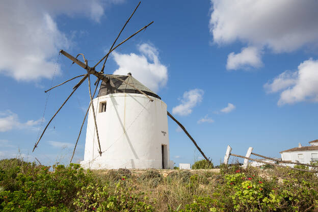 Windmühle in Vejer de la Frontera
