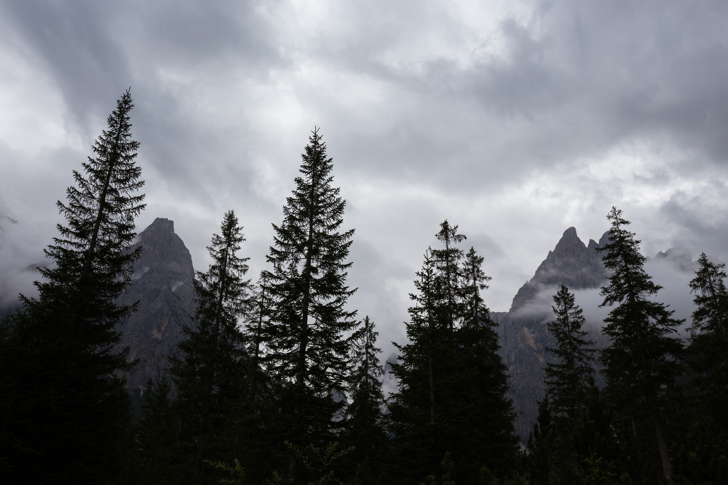 Fichten und Berg-Silhouetten im Fischleintal