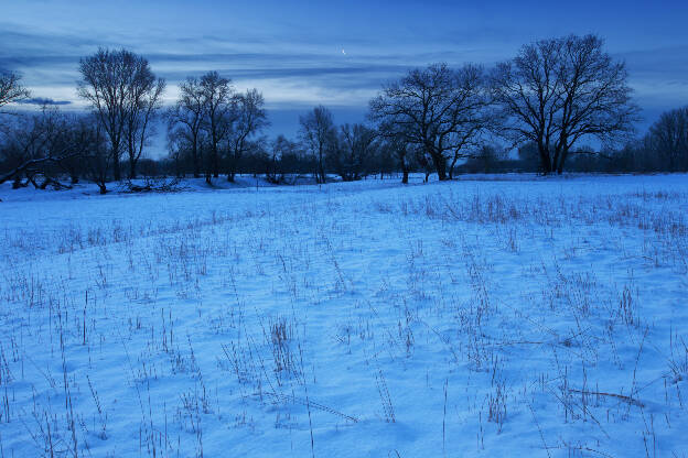 schneebedeckte Flussauenlandschaft im Winter