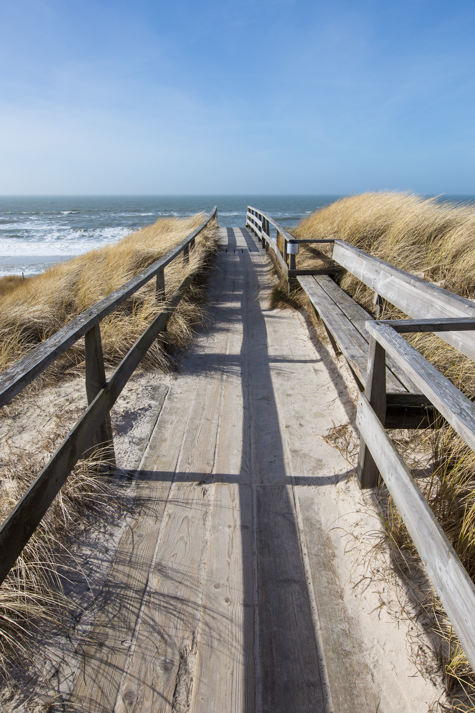 Holzweg in den Dünen