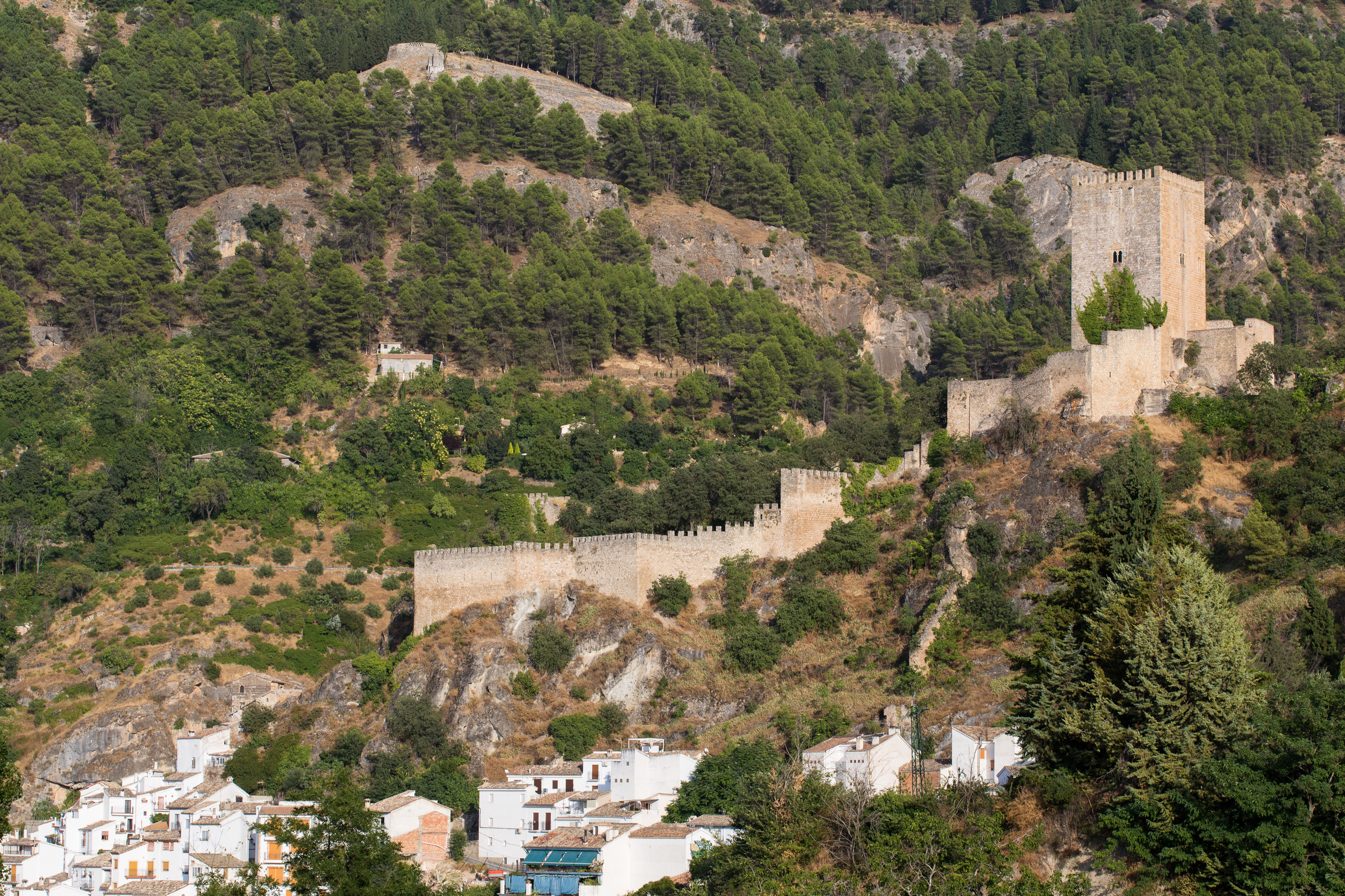 Castillo de la Yedra