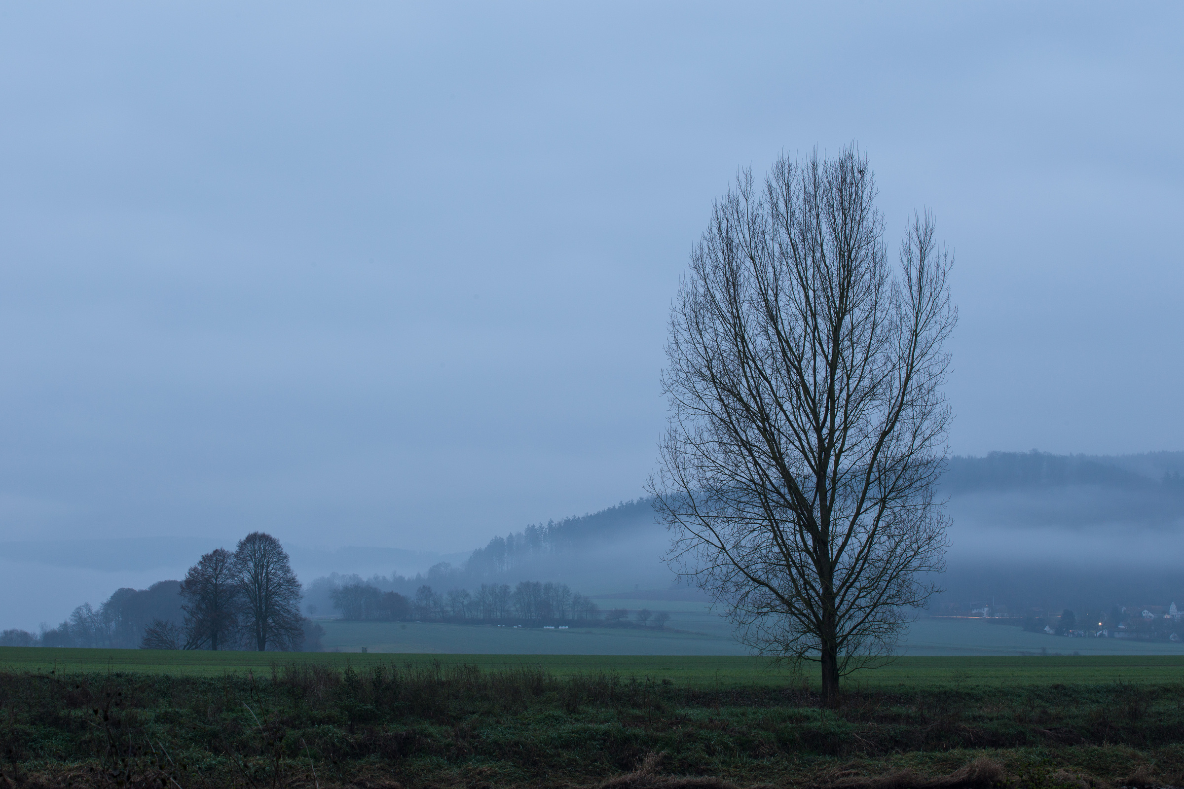 Dämmerung im Solling