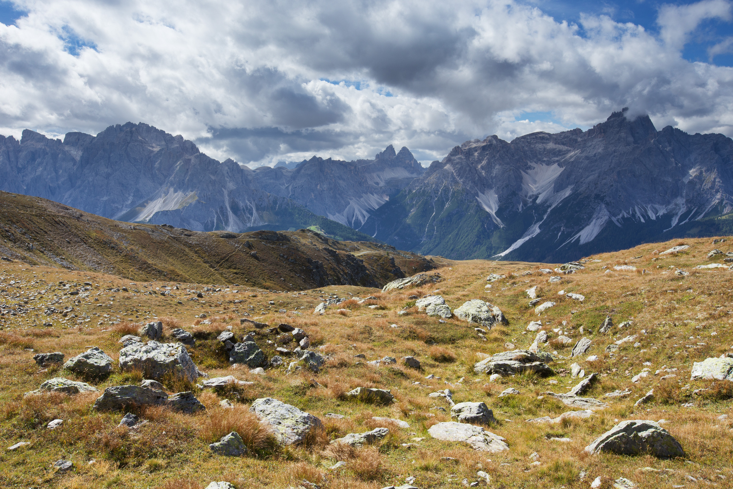 Wiese mit Steinen am Hornisch Eck im Herbst