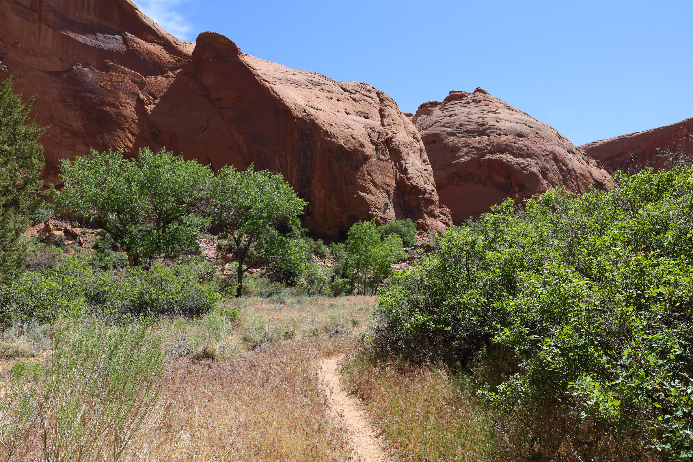 Wanderweg im Coyote Gulch