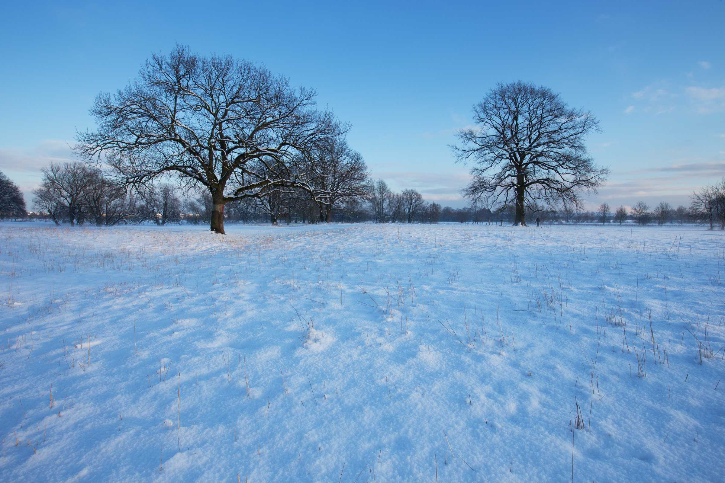 ein klarer kalter Wintertag in den Siegauen