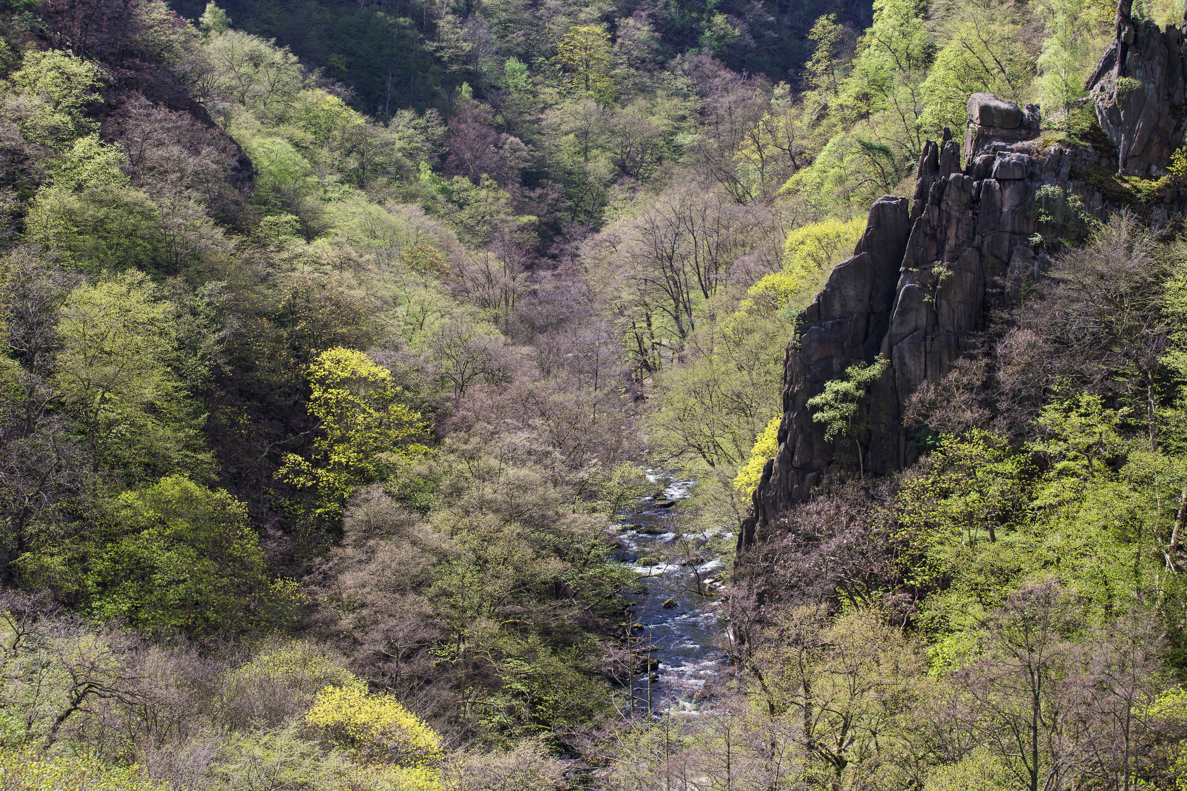 Frühling im Bodetal