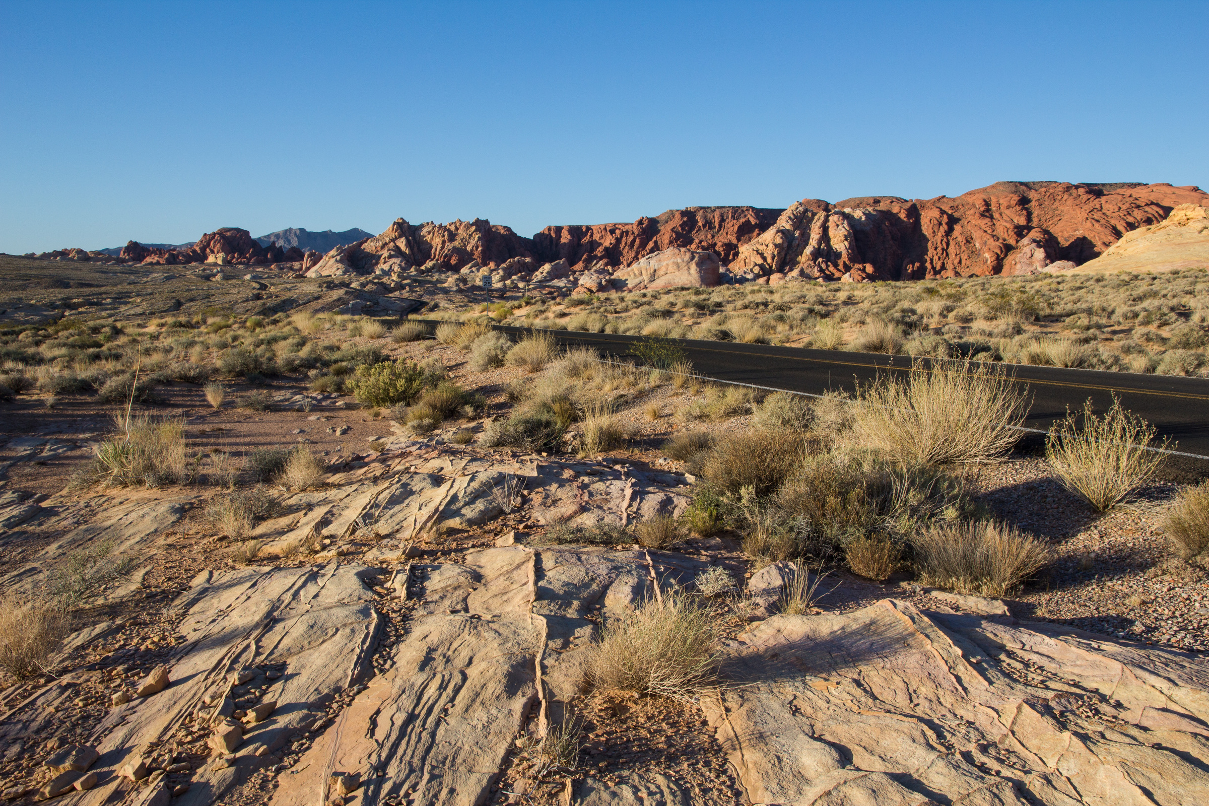 Straße im Valley of Fire