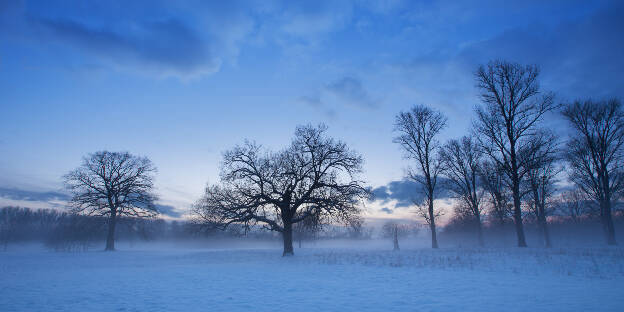 winterliche Auenlandschaft