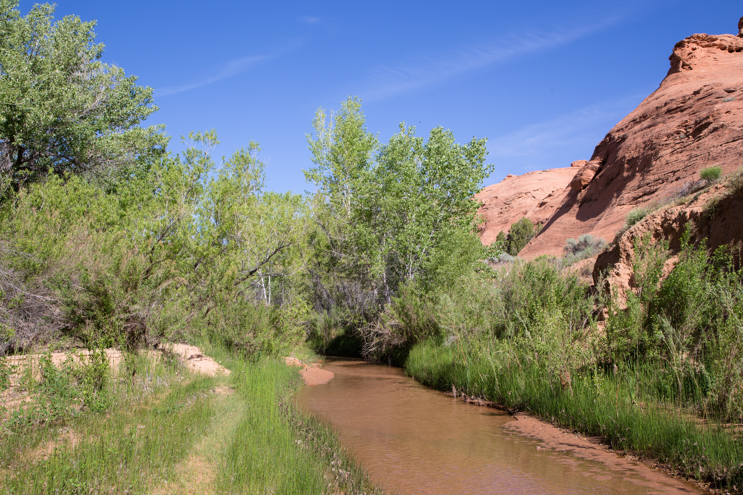 Wanderweg am Coyote Creek