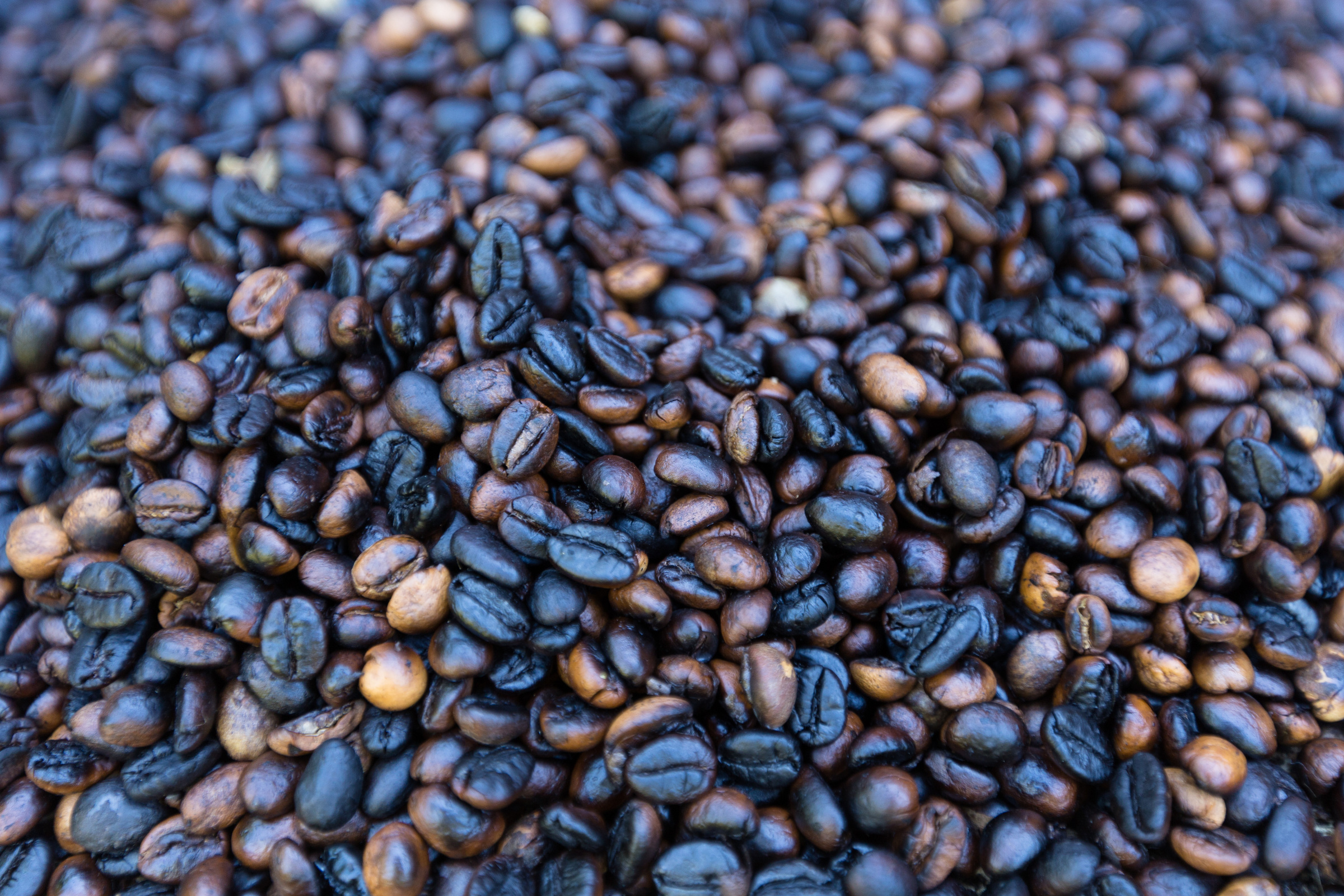 Kaffeebohnen Nahaufnahme