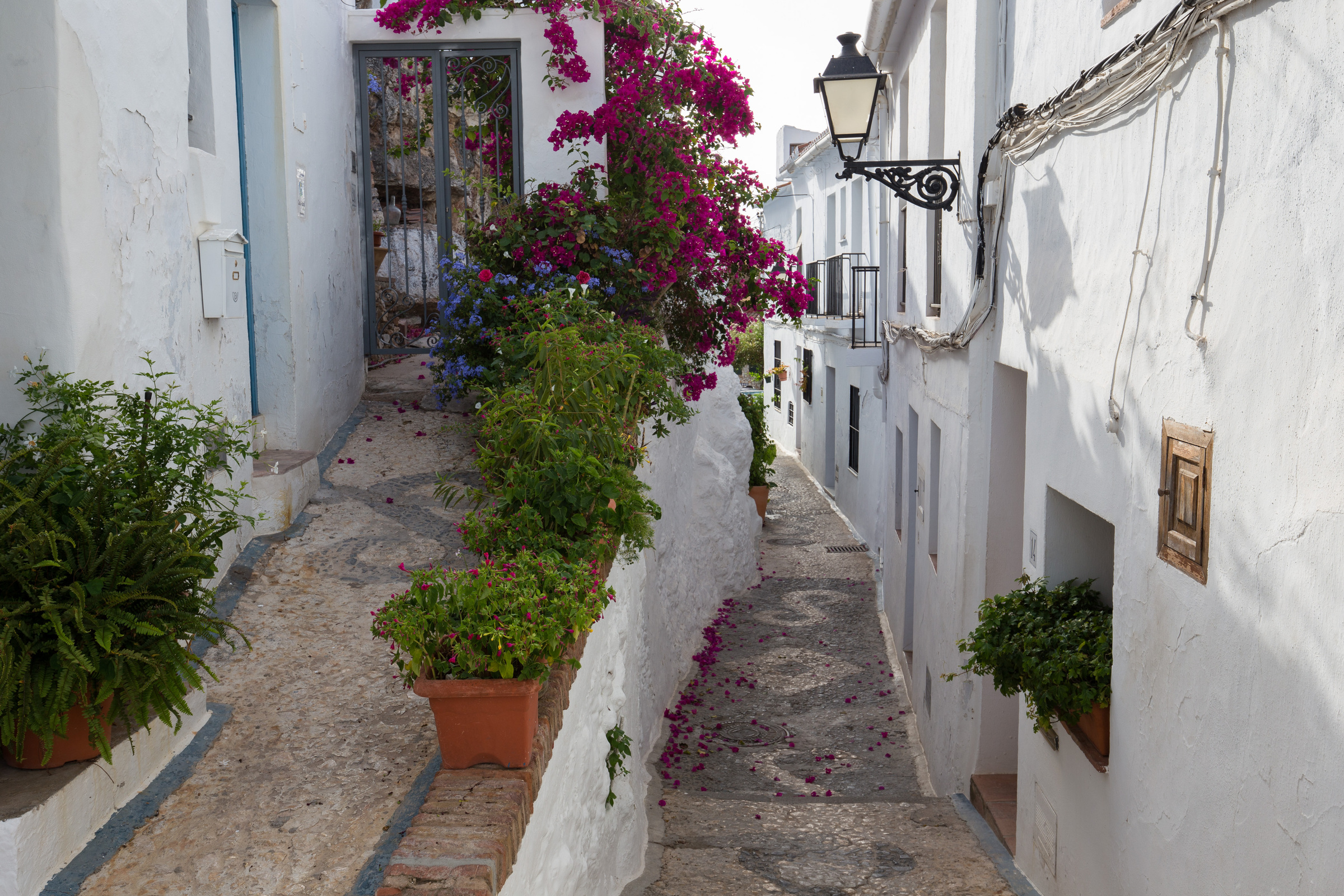 Hauswand mit Blumen in Frigiliana