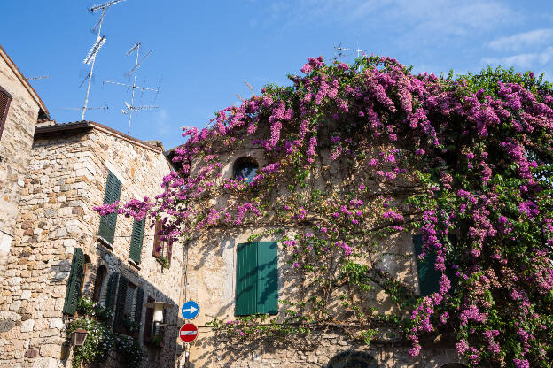 Blumen in der Altstadt von Sirmione