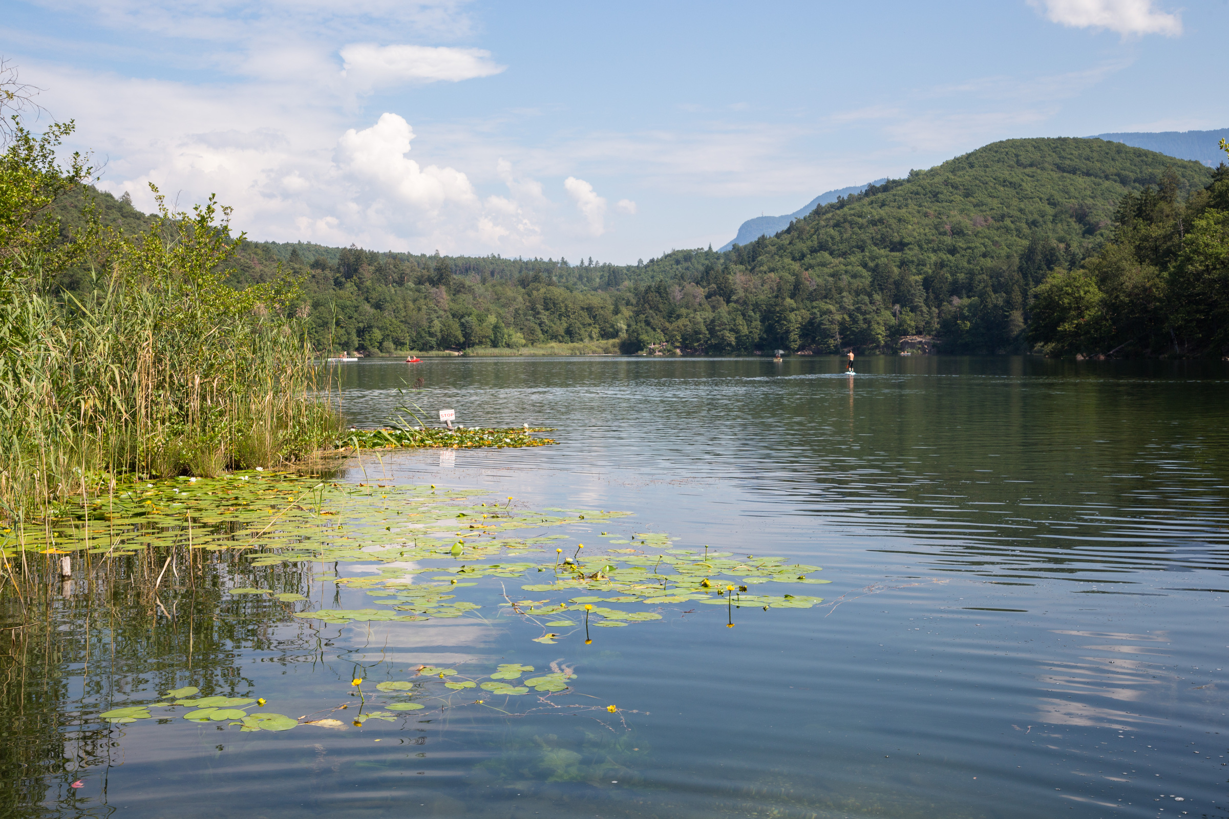 Ufer des Montiggler Sees